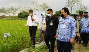 Kementerian kesehatan berada di bawah dan bertanggung jawab kepada presiden. Teknologi Rpik Balitbangtan Kementerian Pertanian 10 Varietas Padi Tingkatkan Produktifitas Petani Info Media