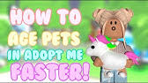 Is a massive multiplayer online game on the gaming and game development platform roblox. How To Age Your Pet Fast And Teach It Tricks Adopt Me Pets Tutorial Youtube
