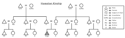 Kinship Chart Template