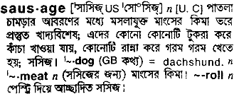 This english to hindi dictionary also provides you an android application for your offline use. Sausage Meaning In Bengali Sausage Bangla Meaning At English To Bangla