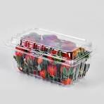 Wholesale Disposable Fruit Containers Supplier & Factory - Lesui