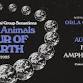 Glass Animals