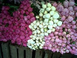 You can read her cut flower advice online or learn more at the adelman gardens website. Pin On Peony