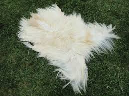Goat Skin Amara Rug Genuine Leather 4 1 X 2 8 Ft Goat Skin Hide Fur Rug Pelt Hand Tanned Skin Rug Decorative Goatskin Boho Decor