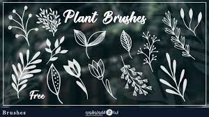 تحميل مجموعة فرش النباتات والأغصان للفوتوشوب 45 Free Plant Brushes For Photoshop
