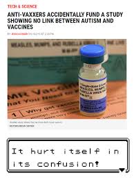 From generation vii onwards, it is 33%. Antivax It Hurt Itself In Its Confusion Know Your Meme