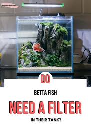 Popular betta tank with filter of good quality and at affordable prices you can buy on aliexpress. Do Betta Fish Really Need A Water Filter In Their Tank