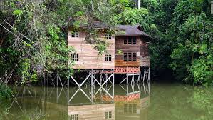 What is the division of forestry in malaysia? 10 Rainforest Resorts In Malaysia You Should Check Out Cnn Travel