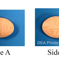 We did not find results for: Dea Dangers Of So Called Study Drug Adderall Kabb