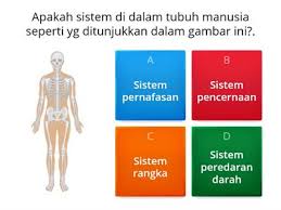 Search for security sistem with us. Sistem Tubuh Manusia Ressources Pedagogiques