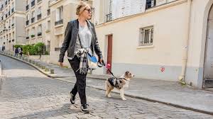 Les chiens sont autorisés sur ce sentier à condition d'être tenus en laisse. 6 Belles Promenades A Faire Avec Son Chien A Paris Rover Com