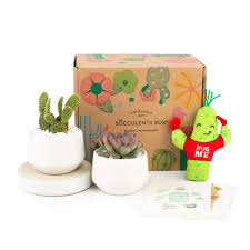 Giftr is malaysia's leading online marketplace for gifts that aims to improve relationships with your loved ones via seamless gifting experience. Succulent Gift Box Personalized Gifts For Any Occasion Succulents Box