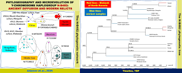Phylogeography and Microevolution of Y-Chromosome Haplogroup ...