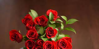 Our thriving research and education farm is dedicated to giving flower lovers the tools and information they need to grow the gardens of their dreams. 6 Ways To Make Your Valentine S Day Roses Last Longer