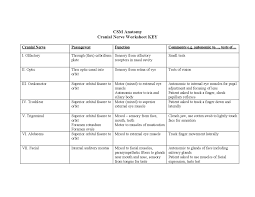 Worksheets are the 12 cranial nervesfunctions and mnemonics, p. Cranial Nerve Worksheet Key Csm Anatomy Docsity