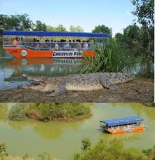 Crocodylus Park Park Tourist Darwin
