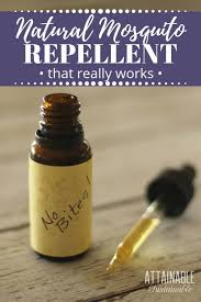 Homemade Mosquito Repellent Is The Natural Answer To Fewer Bites
