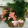 Surprisingly flat after we passed through denver. Best 30 Flowers By Dillons In Wichita Ks With Reviews Yp Com