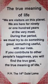 Revolutioneyes Soooo True Buddhist Quotes Buddhism Quote True Meaning Of Life