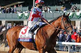 There are a number of outsiders for saturdays kentucky derby at churchill downs that have a genuine chance of upsetting the favourites, with the likes of helium, king fury and dynamic one contenders. Derby Pedigrees Distance A Question For Highly Motivated