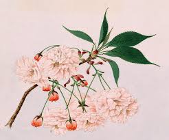 Check out our japanese watercolor selection for the very best in unique or custom, handmade pieces from our watercolor shops. Fugenzo Fugens Elephant Vintage Japanese Watercolor Painting By Just Eclectic