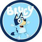 Bluey Round Iron On Transfer Any Colour Fabric T Shirt Pillow Case Craft Shirt Pillow Tshirt Pillow Kids Tshirts