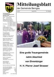Stadtplan, parkplätze, haltestellen, restaurants, hotels und firmen im bereich altenfeldener straße. Mitteilungsblatt Berngau