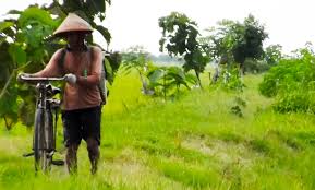 Anto juga memuji program yang dicanangkan mentan syl karena langsung dirasakan dampaknya oleh petani. 40 Gambar Pemandangan Sawah Dan Pak Tani