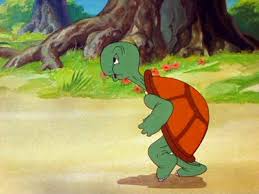 Image result for cecil turtle