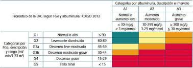 Enfermedad Renal Cronica En 2020 Enfermedad Renal Cronica Enfermedad Renal Enfermedad