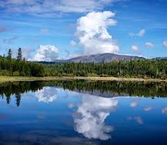 Boston college is a private, jesuit research university in chestnut hill, massachusetts. Fishing Tourism Kamloops Bc