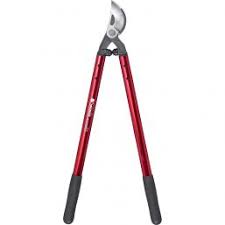 Hotgen corona selbsttest und mehr! Loppers Pruning George Carr Power Products
