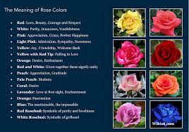 Once you understand the meaning of flowers, you can start experimenting with different flower content to let your loved one know exactly how you feel about. The Meaning Of Rose Colors Positivemed Rose Color Meanings Rose Meaning Color Meanings