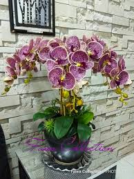 We did not find results for: Gubahan Eksklusif Bunga Faie S Orchid Collection Facebook