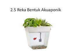 Reka bentuk akuaponik sistem nft 2 ikhlas. Reka Bentuk Akuaponik