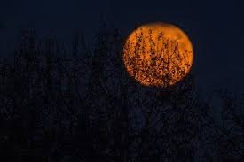 Best Iphone Wallpapers The Best Wallpapers Coolest Backgrounds Luna Llena Fondos Molones Luna
