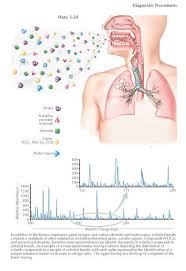 Exhaled Breath Analysis Breath Analysis Offers A Window On Lung Physiology And Disease And Is Rapidly Evolving As A Ne Respiratory System Physiology Analysis