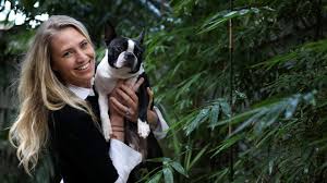 Check spelling or type a new query. Aviation Safety Regulator To Open Door To Pets Travelling In Plane Cabins