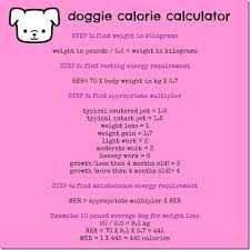 Dog Nutrition