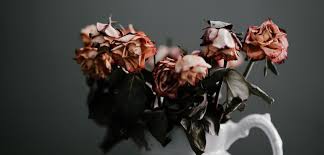 Maybe you would like to learn more about one of these? What S The Meaning Of Smelling Death Cake Blog