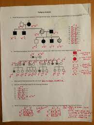 Because people affected by this disease are surviving at least to the age they are able to have children. Key Pedigree Analysis Worksheet Mrs Paulik S Website