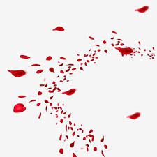 Red Floating Rose Petals Red Rose Petals Png Transparent Clipart Image And Psd File For Free Download Red Glitter Background Red Roses Background Red Petals