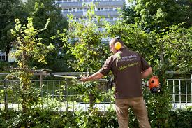 Mit diesem angebot schlüter ideen für schöne gärten. Leistungen Gartenbau Maltzahn De