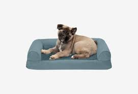 Maybe you would like to learn more about one of these? 19 Best Dog Beds 2021 The Strategist