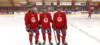 Den näst högsta serien är nu inne på sin 22:a säsong i sin nuvarande form i och med hockeyallsvenskan 2020/2021. Hockeyallsvenskan Rmnb