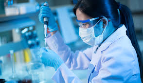 UK plans fast-track immigration system for talented scientists ...