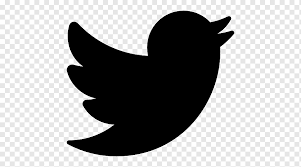 Adobe ilustrator cs3 twitter logo created with gradients, transparencies and simple shapes to facilitate editing. Twitter Icon Png Images Pngwing