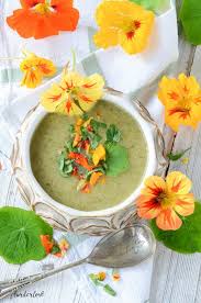 Pin On Soup Recipes