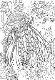 meduses detaillees elevees pour le livre de coloriage adultes vecteurs libres droits et plus d images vectorielles colorier istock citrouille