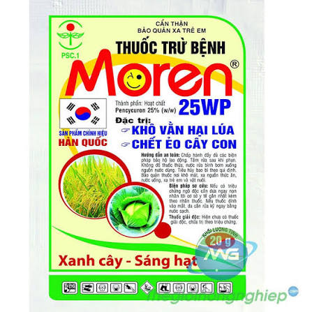 Moren 25WP